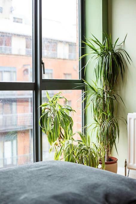 Spacious Belfast City Centre Duplex Apartment Extérieur photo